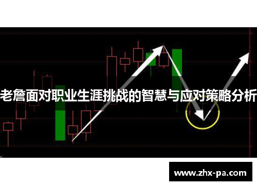 老詹面对职业生涯挑战的智慧与应对策略分析